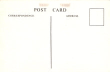 Load image into Gallery viewer, Sports Postcard - Cricket - Cricketeer W.G.Grace, Kent County Cricket Club - Mo’s Postcards 
