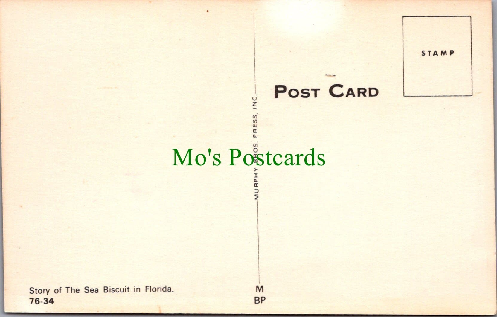 Nature Postcard - Florida Sea Biscuit