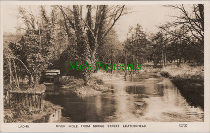 River Mole From Bridge Street, Leatherhead, Surrey