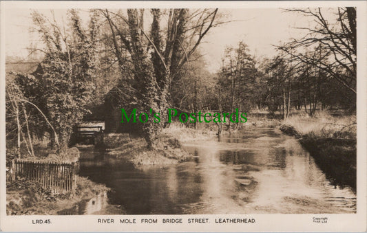 River Mole From Bridge Street, Leatherhead, Surrey