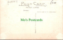 Load image into Gallery viewer, River Mole From Bridge Street, Leatherhead, Surrey
