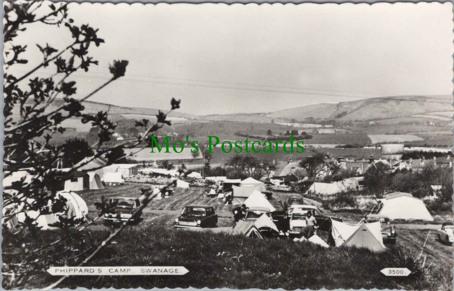 Phippard's Camp, Swanage, Dorset