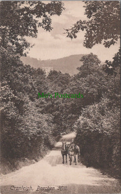 Beechen Hill, Cranleigh, Surrey