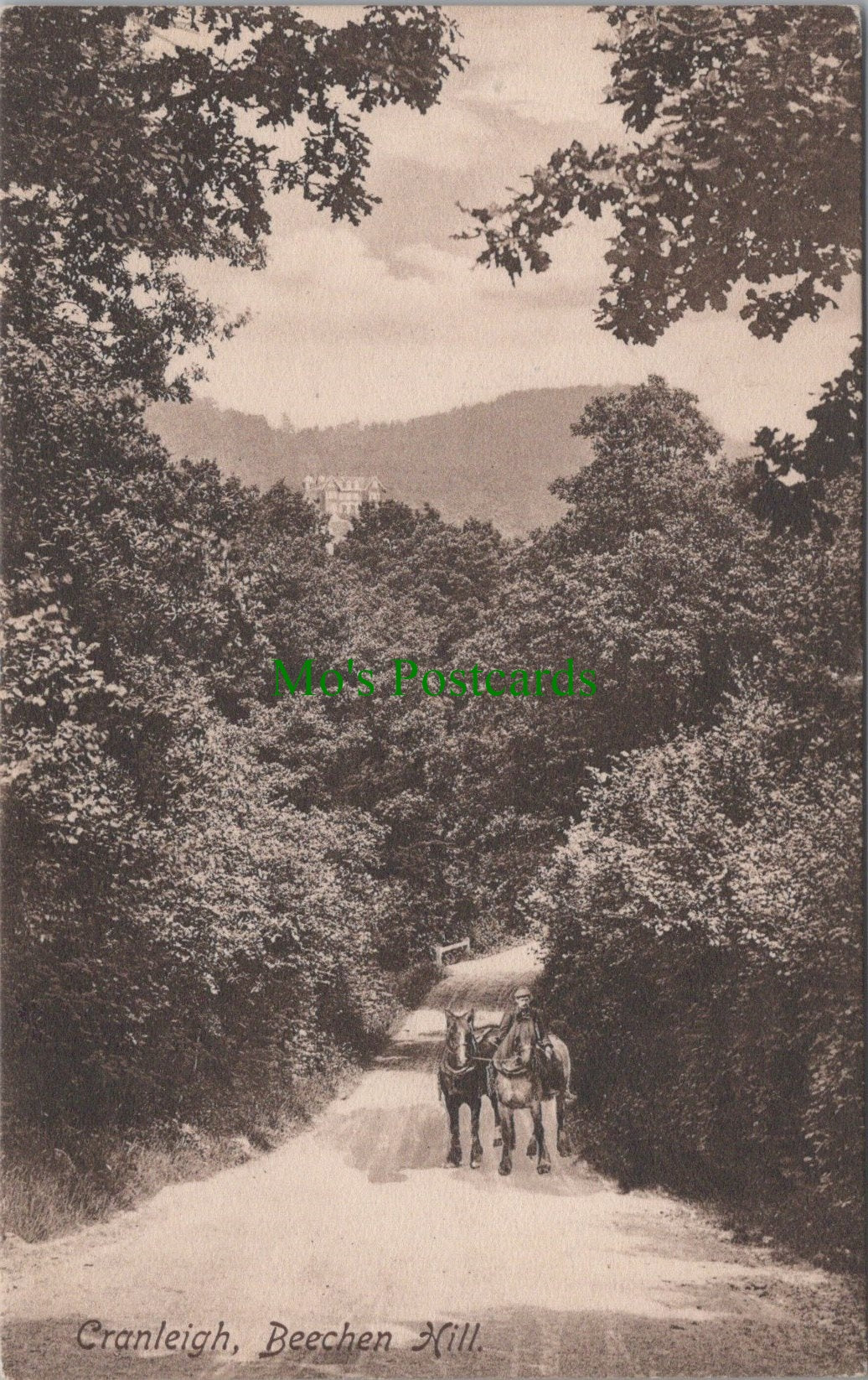 Beechen Hill, Cranleigh, Surrey