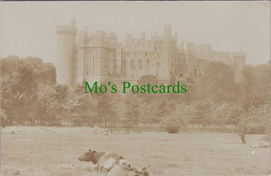 Arundel Castle, Sussex