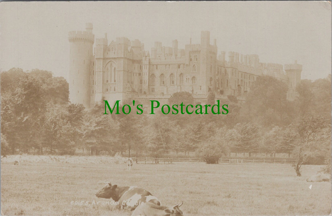 Arundel Castle, Sussex