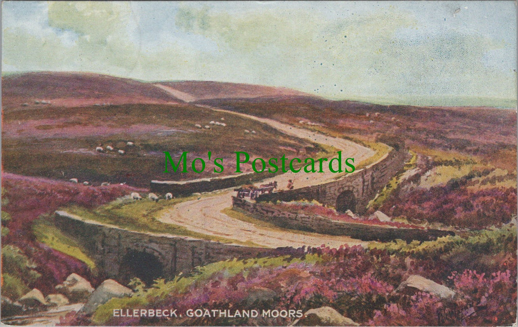 Ellerbeck, Goathland Moors, Yorkshire