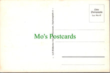 Load image into Gallery viewer, Der Rattenfanger, Hameln, Germany
