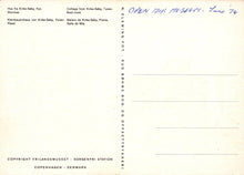 Load image into Gallery viewer, Denmark Postcard - Museum - Frilandsmuseet - Sorgenfri Station, Copenhagen - Mo’s Postcards 
