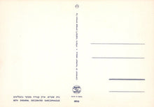 Load image into Gallery viewer, Israel Postcard - Beth Shearim - Decorated Sarcophagus - Mo’s Postcards 
