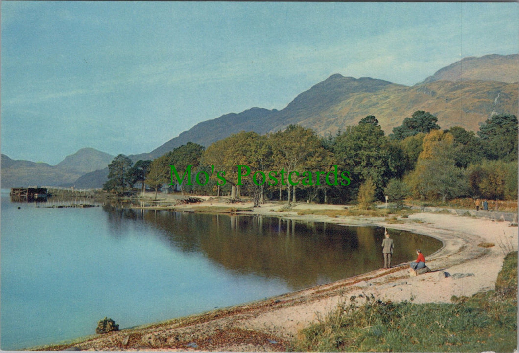 Loch Lomond at Rowardennan