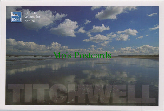 Titchwell Marsh, King's Lynn, Norfolk