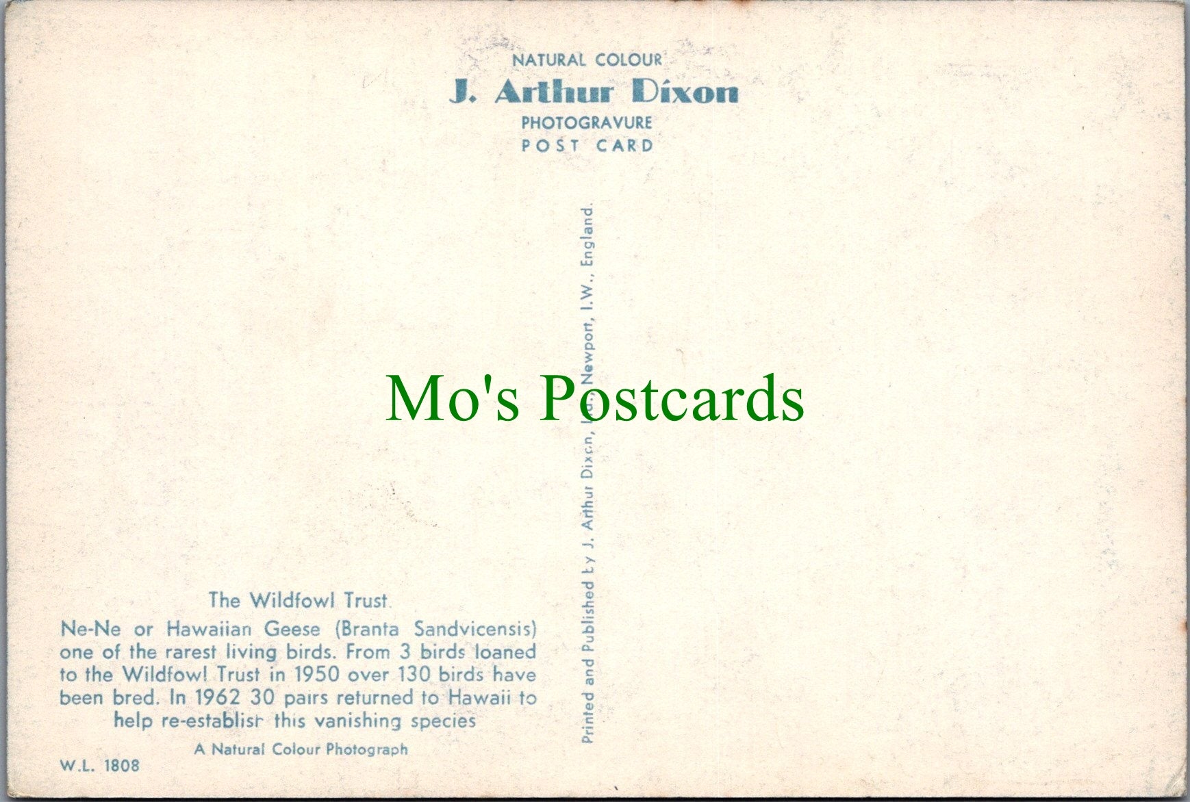 Birds Postcard - The Wildfowl Trust