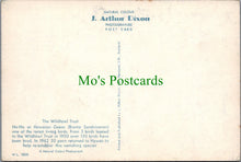 Load image into Gallery viewer, Birds Postcard - The Wildfowl Trust
