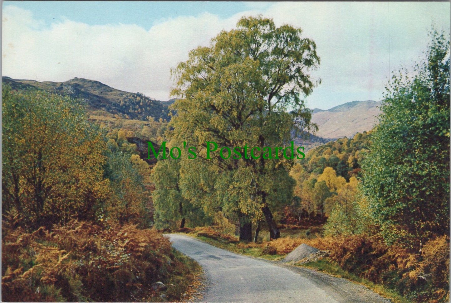 Glen Cannich, Inverness-shire