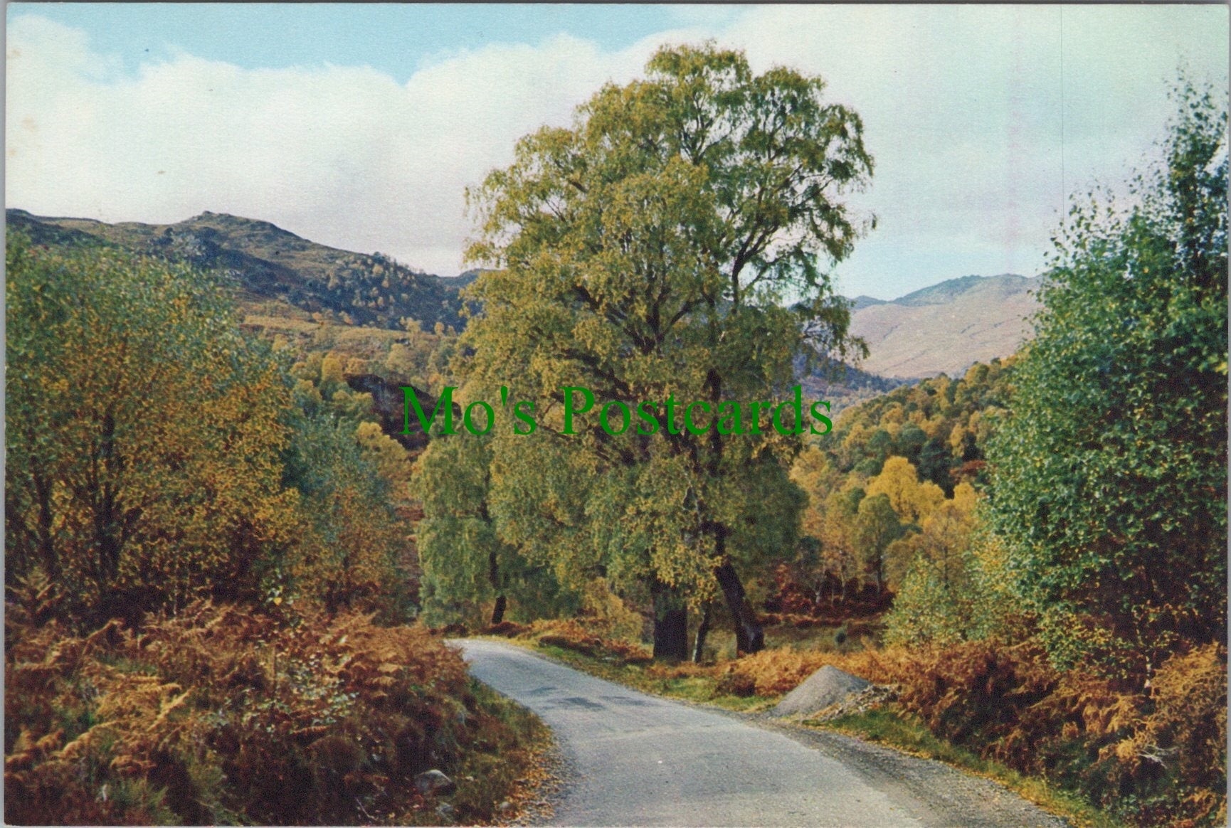 Glen Cannich, Inverness-shire