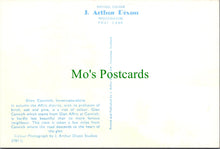 Load image into Gallery viewer, Glen Cannich, Inverness-shire
