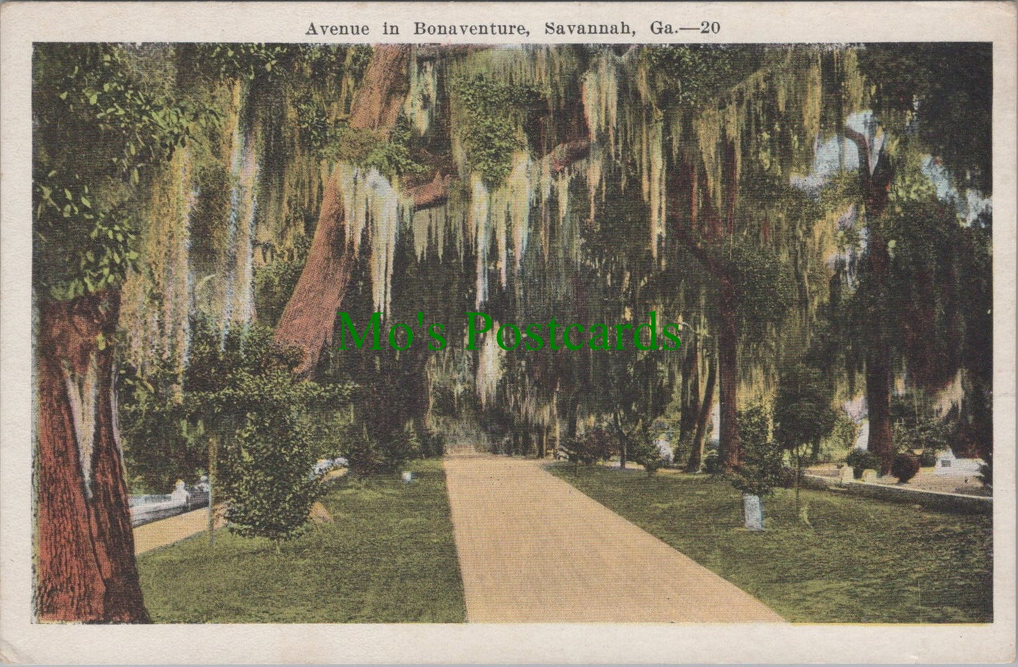 Avenue in Bonaventure, Savannah, Georgia