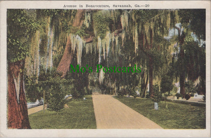 Avenue in Bonaventure, Savannah, Georgia