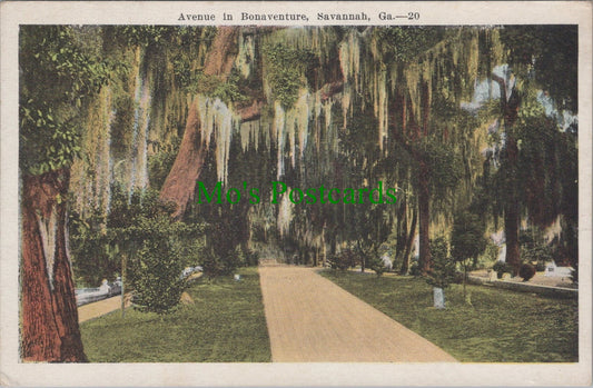 Avenue in Bonaventure, Savannah, Georgia
