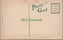 Load image into Gallery viewer, Avenue in Bonaventure, Savannah, Georgia
