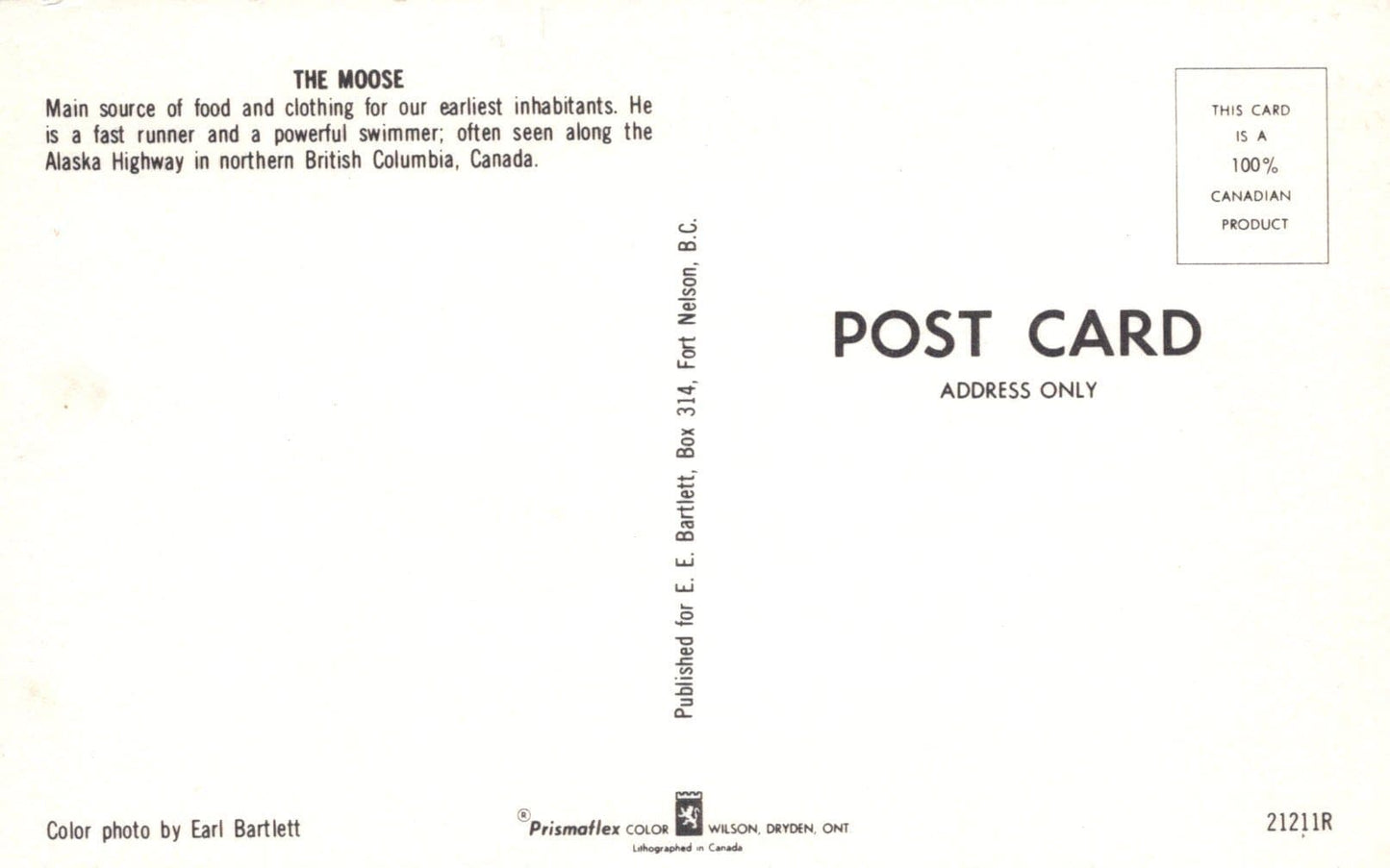 Canada Postcard - Animals - The Moose - Alaska Highway in Northern British Columbia - Mo’s Postcards 