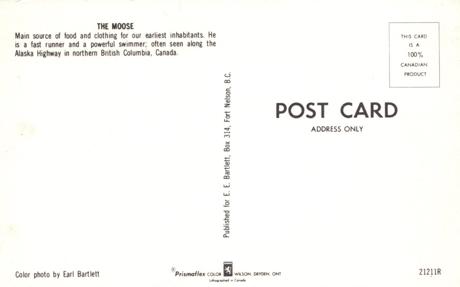 Canada Postcard - Animals - The Moose - Alaska Highway in Northern British Columbia - Mo’s Postcards 