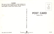 Load image into Gallery viewer, Canada Postcard - Animals - The Moose - Alaska Highway in Northern British Columbia - Mo’s Postcards 
