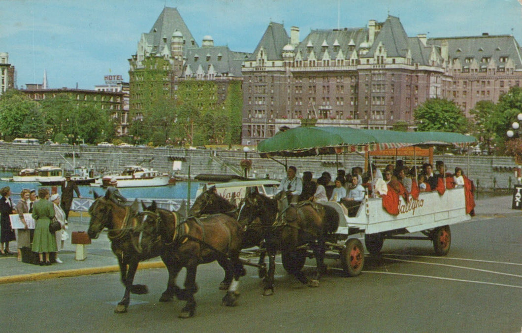 Canada Postcard - Tally-Ho - Victoria, British Columbia - Mo’s Postcards 
