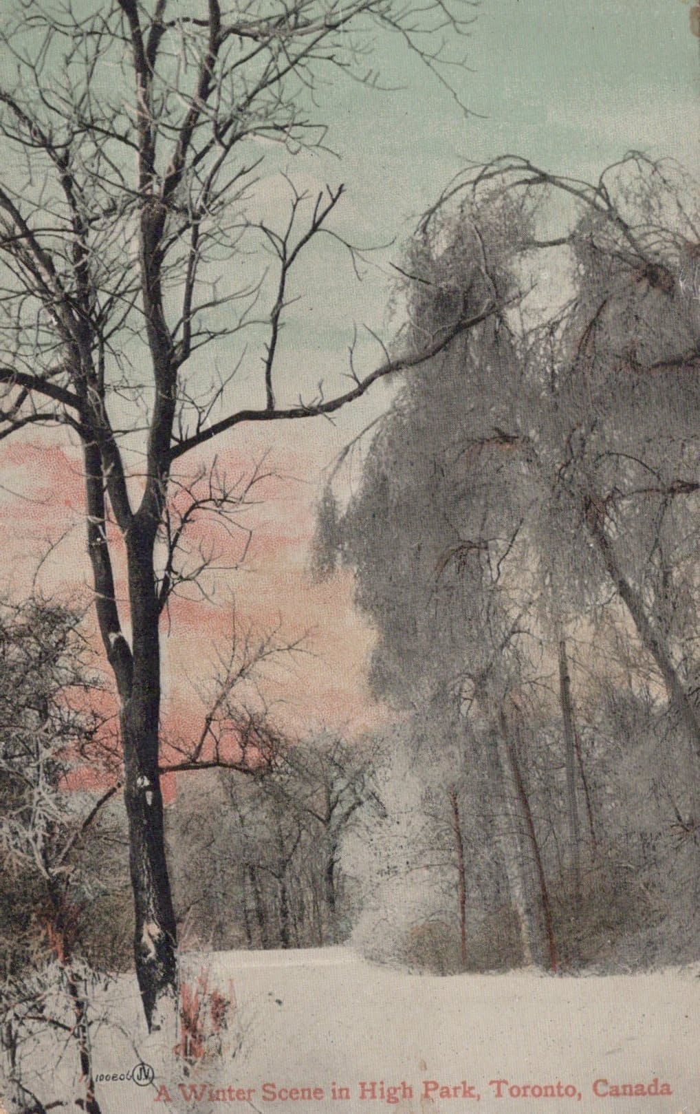 Canada Postcard - A Winter Scene in High Park, Toronto - Mo’s Postcards 