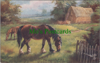 By Mead and Stream - Harry Payne