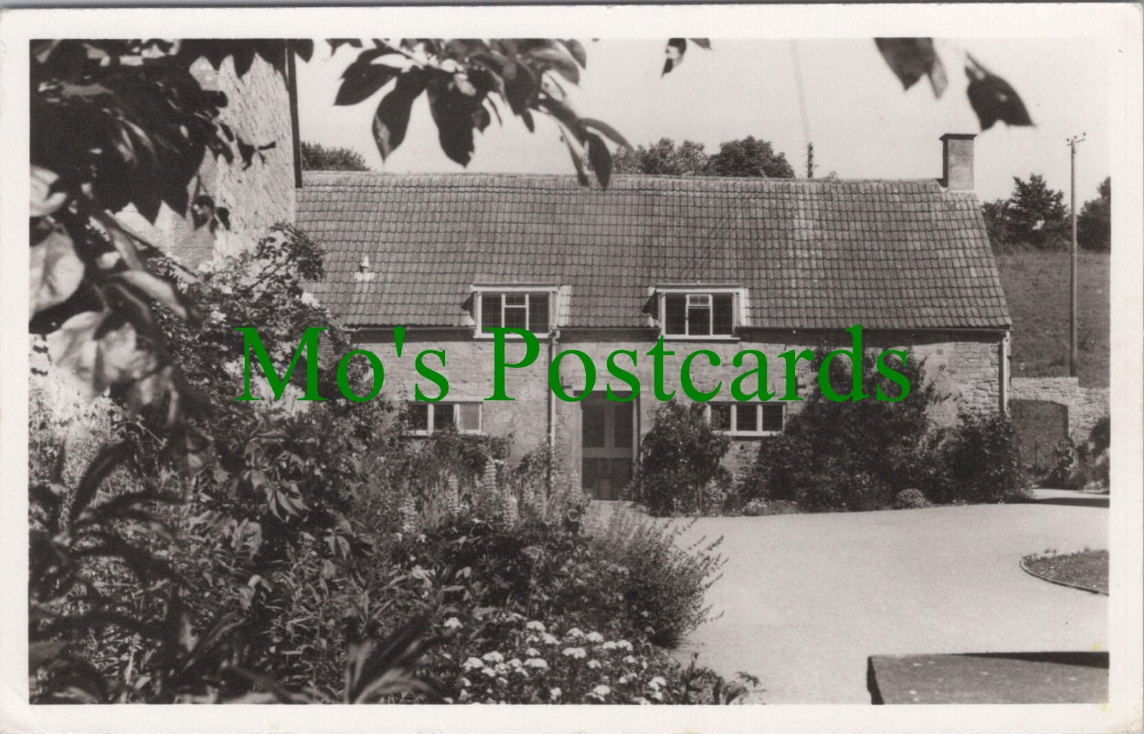 Guest House, Compton Durville, Somerset
