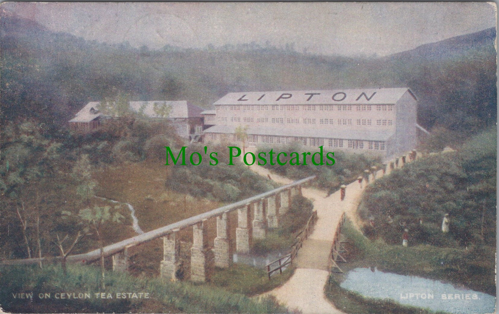 View on Ceylon Tea Estate, Sri Lanka