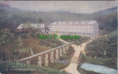 View on Ceylon Tea Estate, Sri Lanka