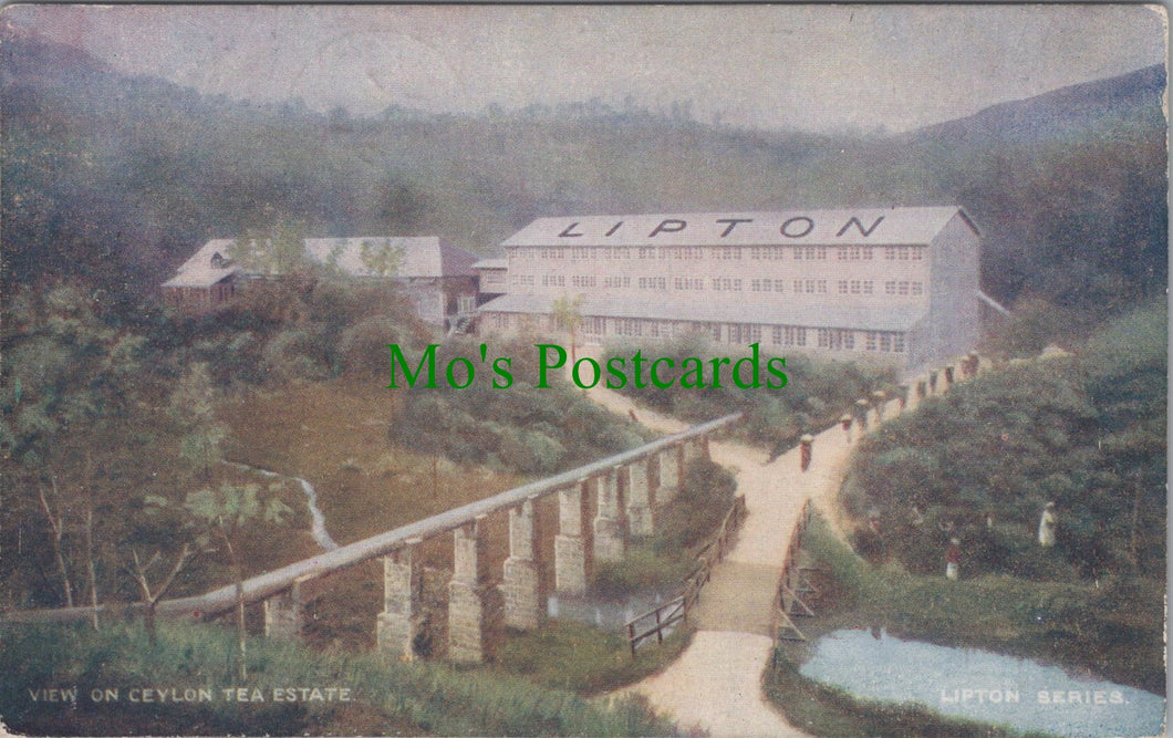 View on Ceylon Tea Estate, Sri Lanka