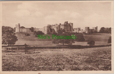 Alnwick Castle From The Pasture