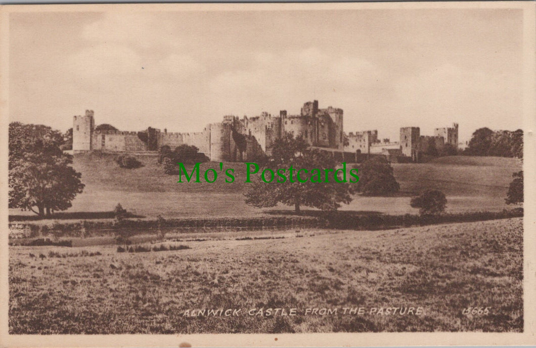 Alnwick Castle From The Pasture