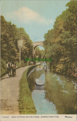 Deep Cutting on The Canal, Market Drayton