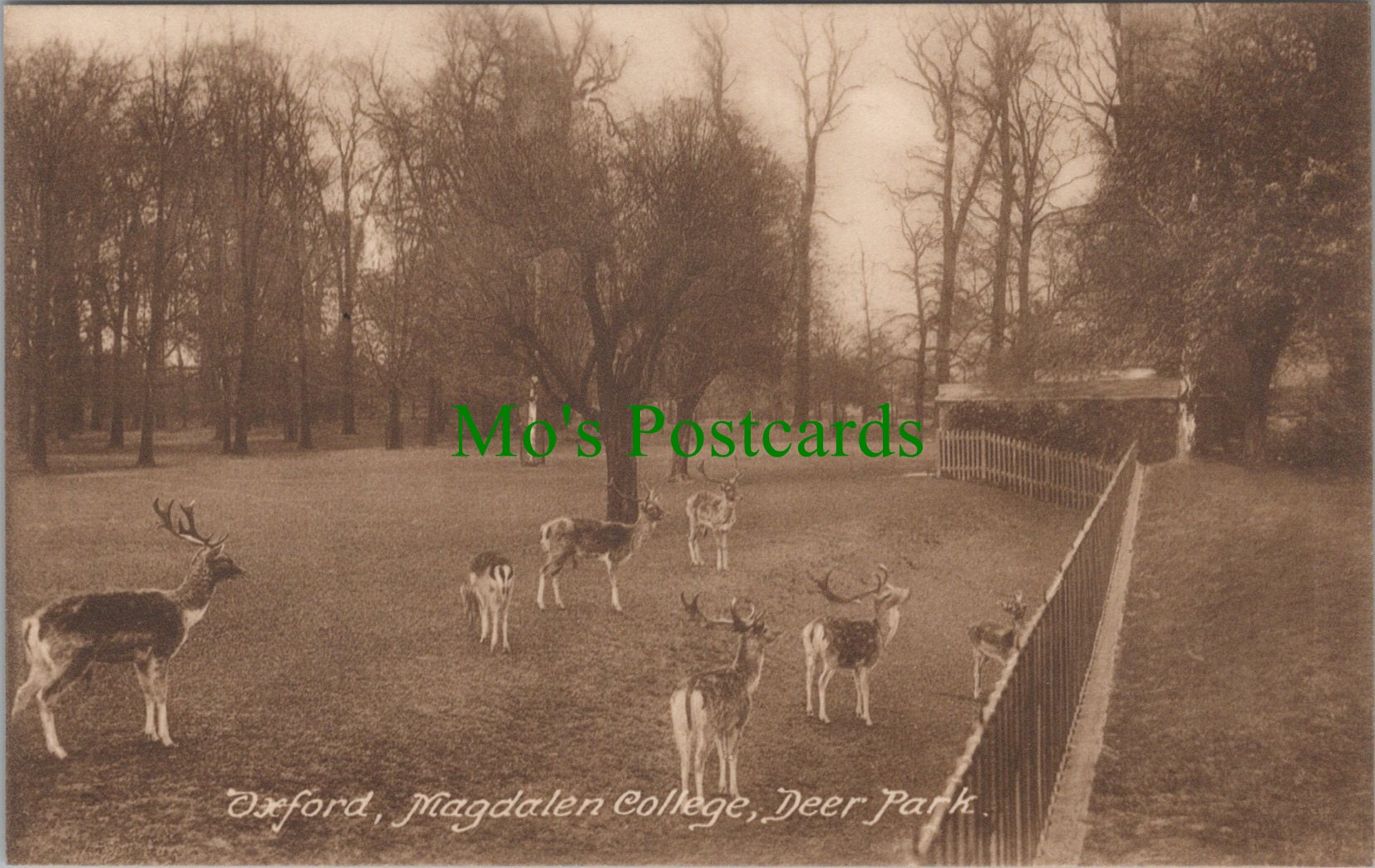 Deer Park, Magdalen College, Oxford