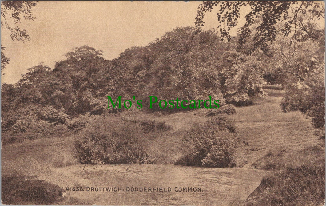 Dodderfield Common, Droitwich