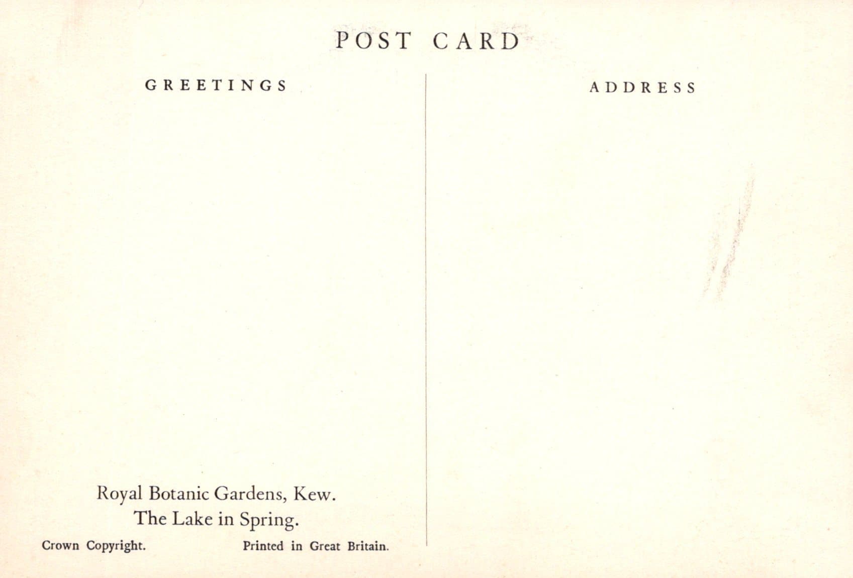 London Postcard - Royal Botanic Gardens, Kew - The Lake in Spring - Mo’s Postcards 