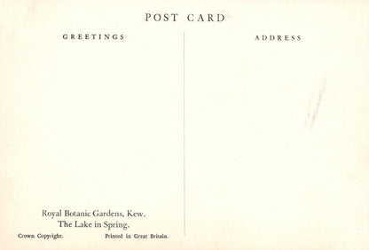 London Postcard - Royal Botanic Gardens, Kew - The Lake in Spring - Mo’s Postcards 