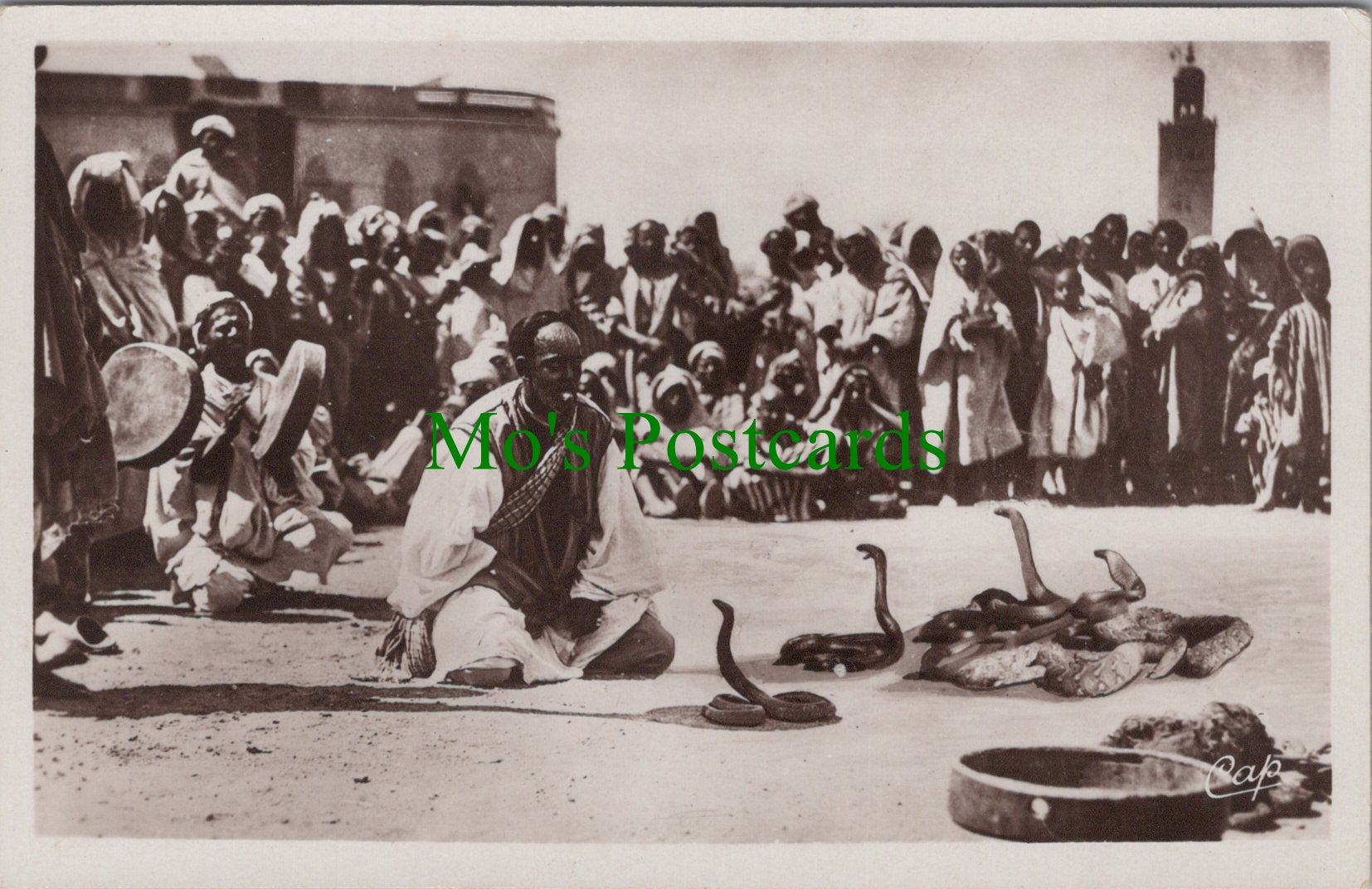 Animals Postcard - A Snake Charmer