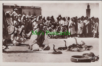 Animals Postcard - A Snake Charmer