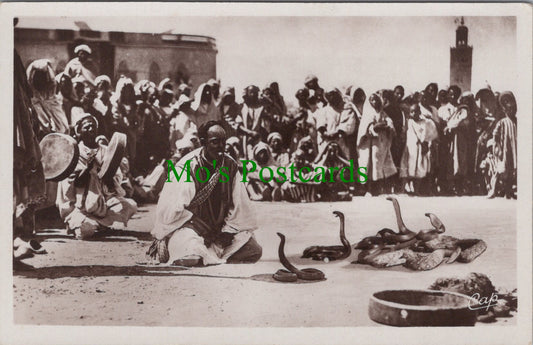 Animals Postcard - A Snake Charmer