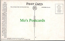 Load image into Gallery viewer, A New Light in The Harem, Frederick Goodall, Walker Art Gallery
