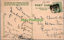 Load image into Gallery viewer, Award For Inconstancy - Medal &amp; Butterfly
