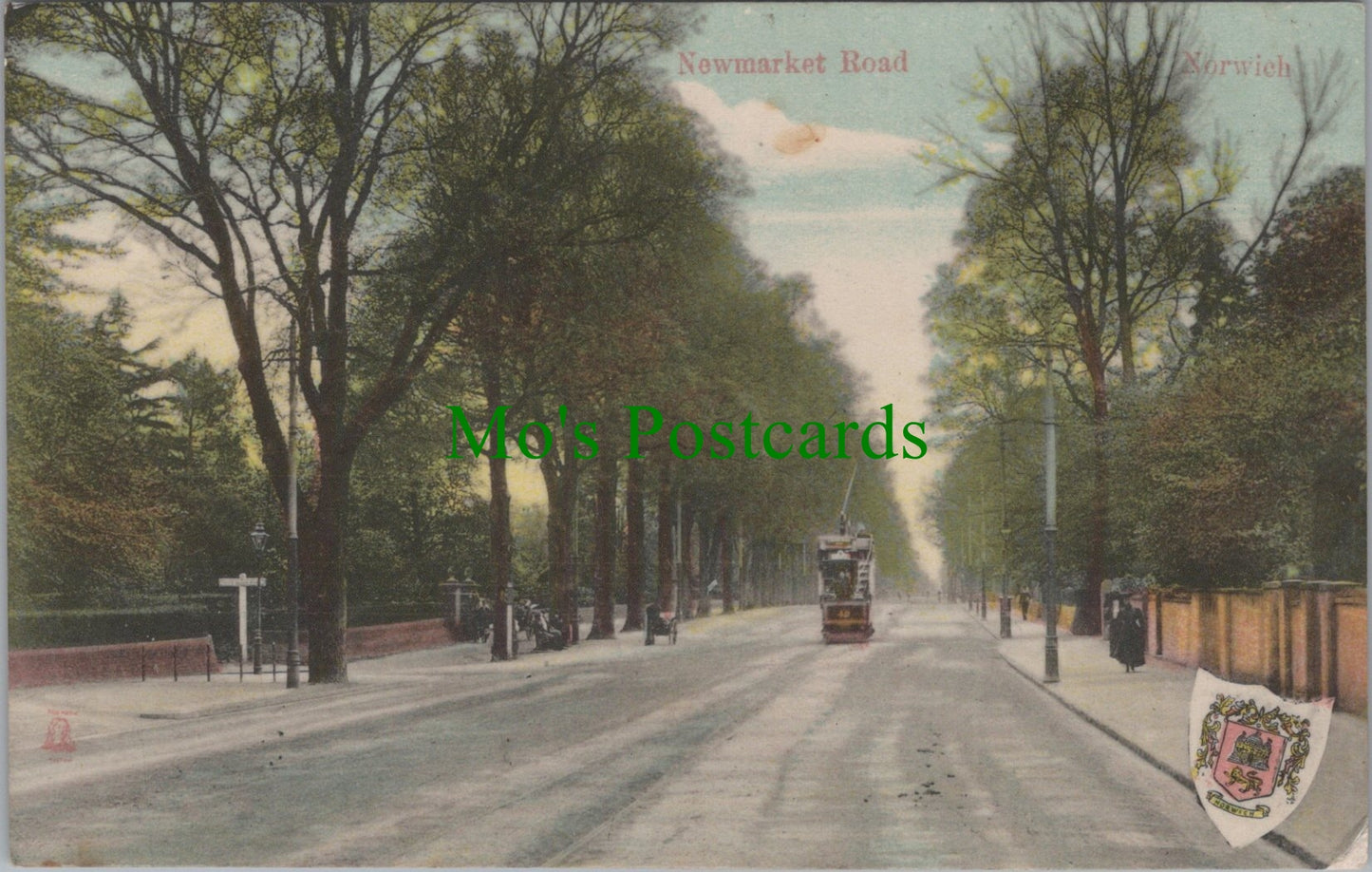 Newmarket Road, Norwich, Norfolk