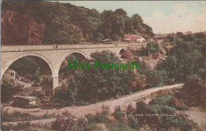 In The Plym Valley, Devon