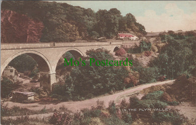 In The Plym Valley, Devon